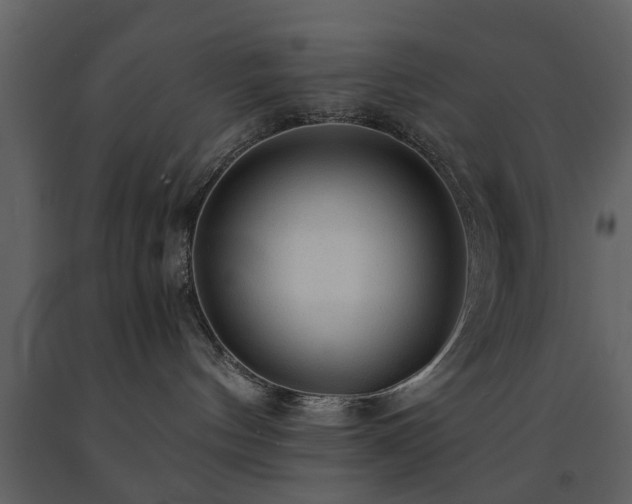 X0000091680144200708231425
