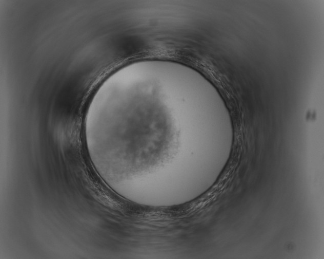 X0000091680146200708231425