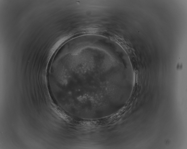 X0000091680147200708231425
