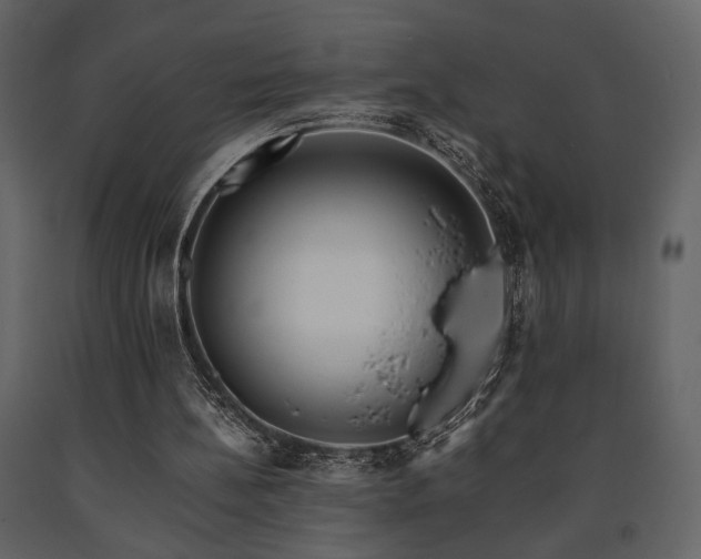X0000091680148200708231425