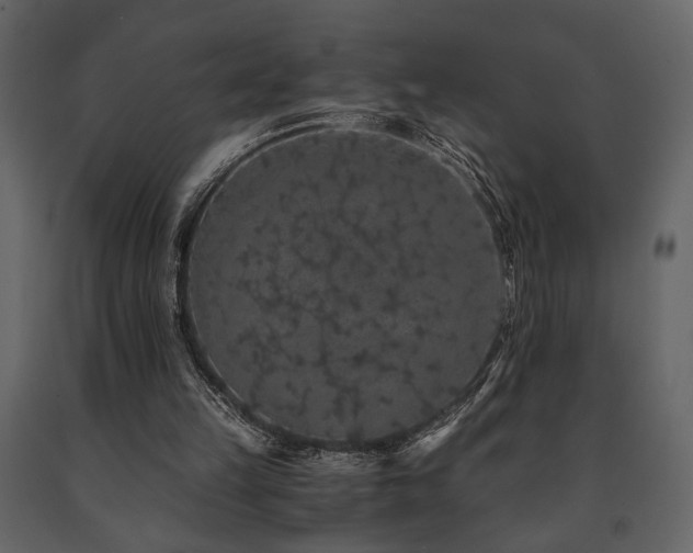 X0000091680149200708231425
