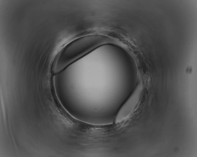 X0000091680150200708231425