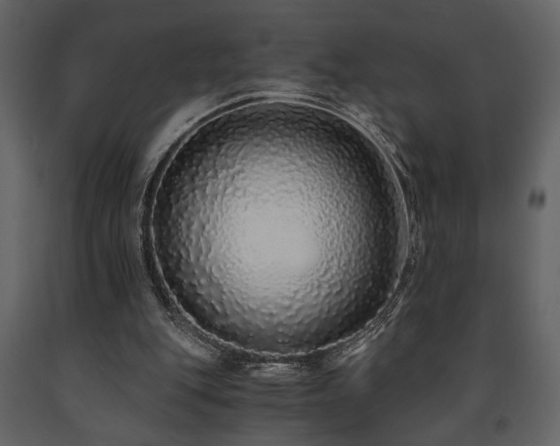 X0000091680151200708231425