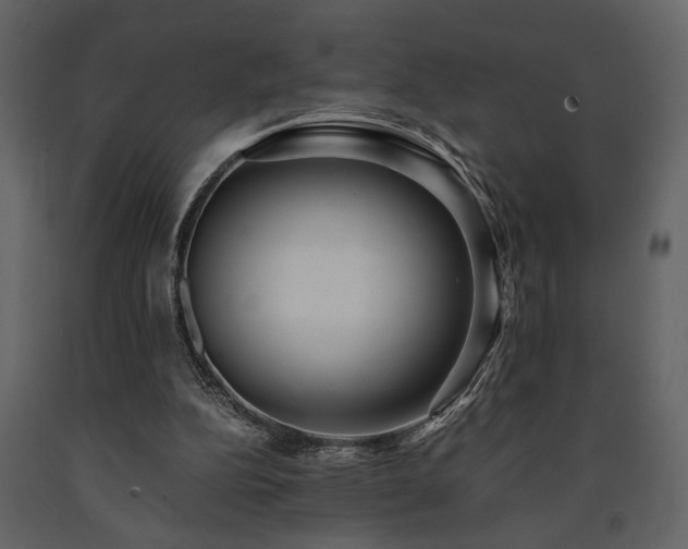 X0000091680152200708231425