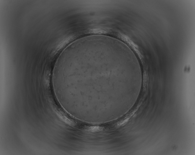 X0000091680153200708231425