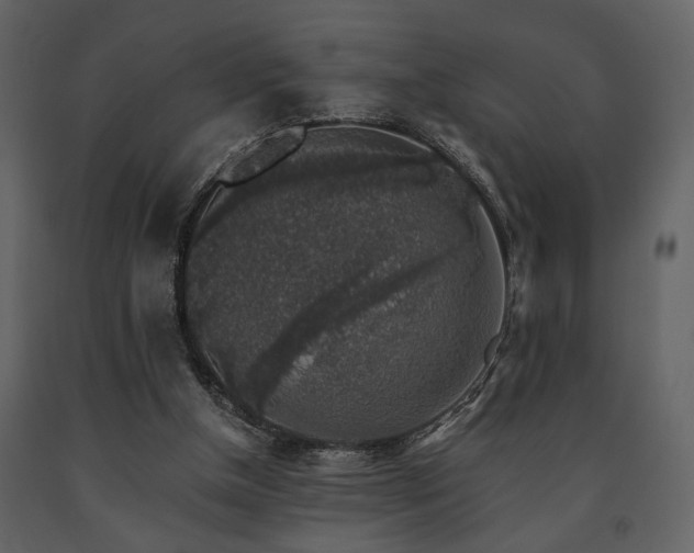 X0000091680154200708231425