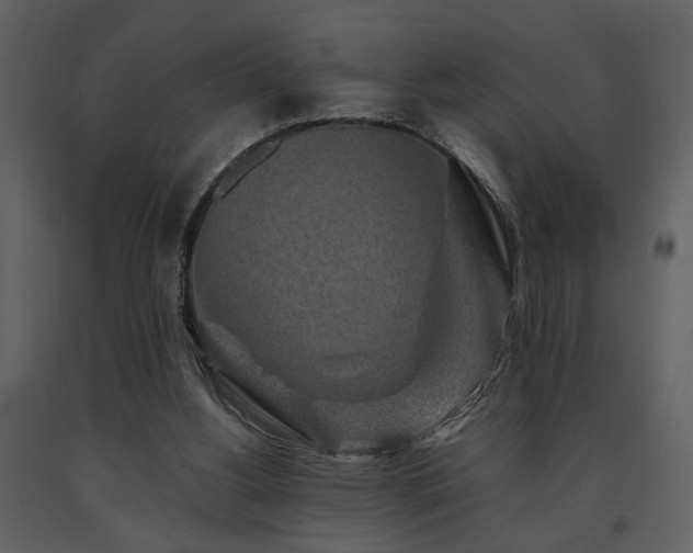 X0000091680156200708231425