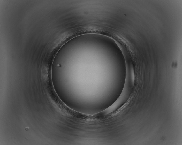 X0000091680158200708231425