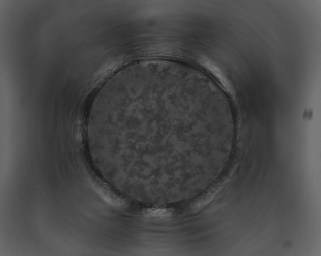 X0000091680161200708231425