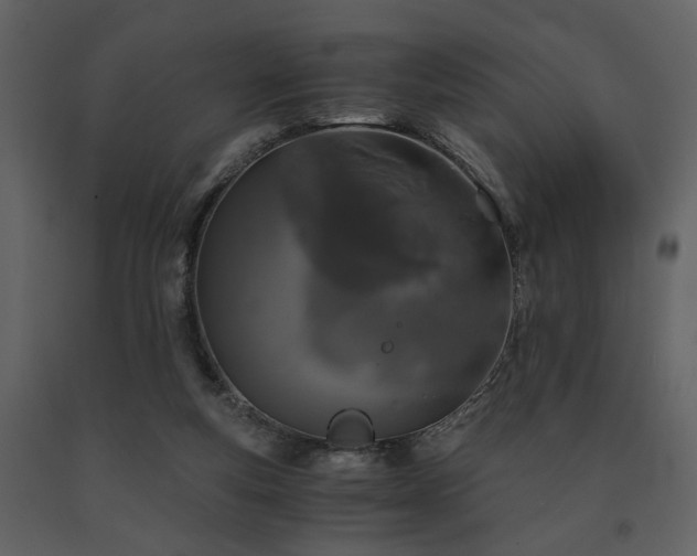 X0000091680163200708231425