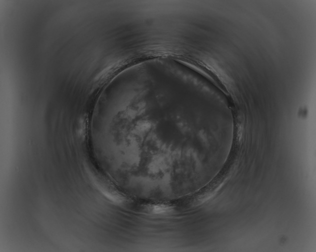X0000091680165200708231425