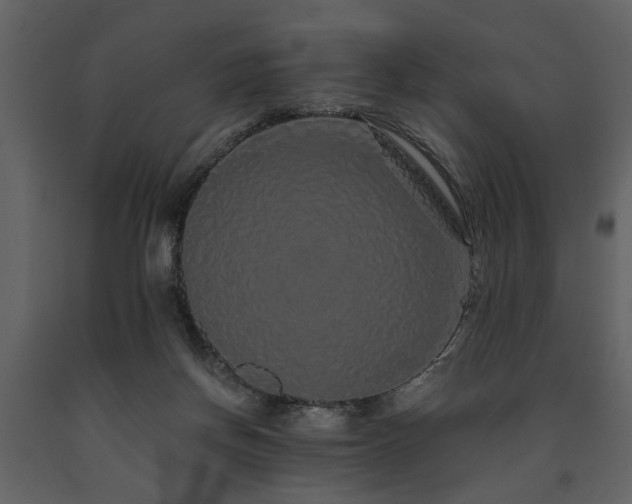 X0000091680166200708231425