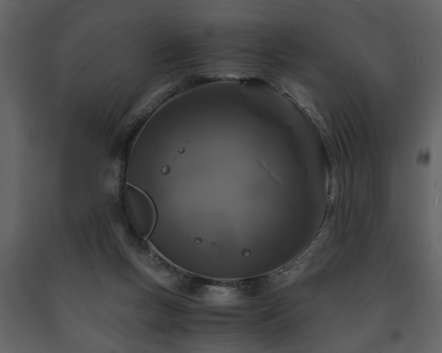 X0000091680167200708231425