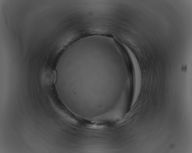 X0000091680168200708231425