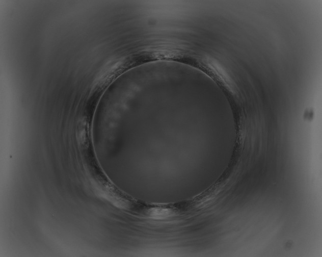 X0000091680169200708231425