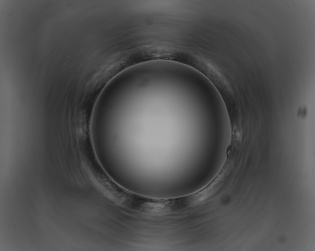 X0000091680170200708231425