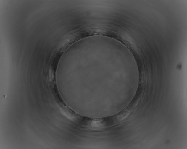 X0000091680173200708231425