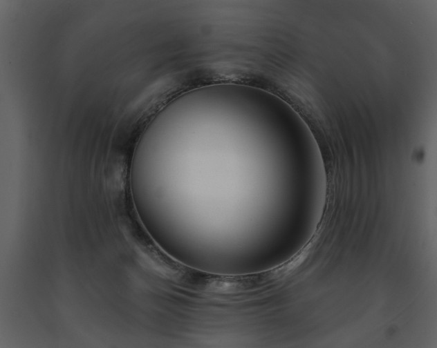 X0000091680174200708231425