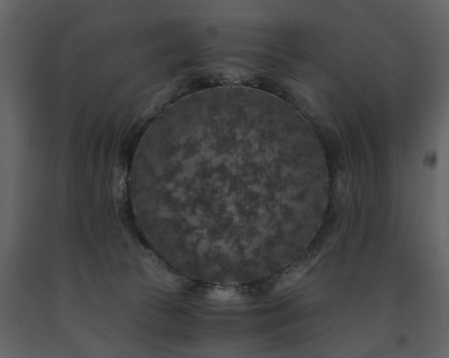 X0000091680177200708231425
