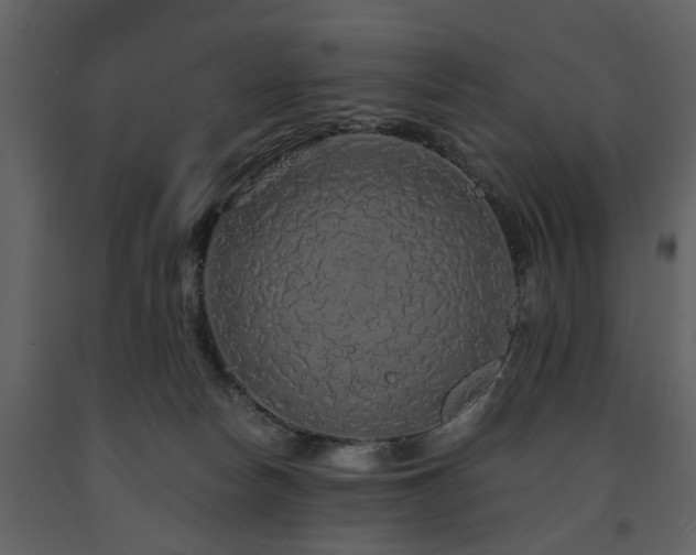 X0000091680178200708231425