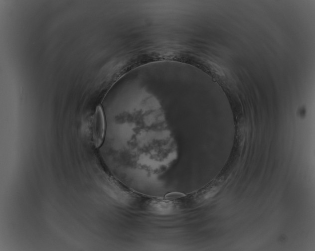 X0000091680181200708231425