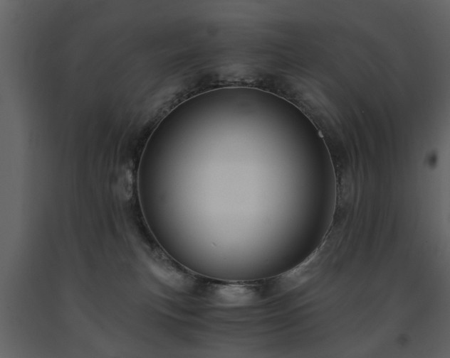 X0000091680183200708231425