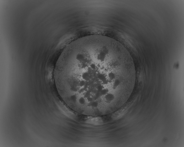 X0000091680185200708231425