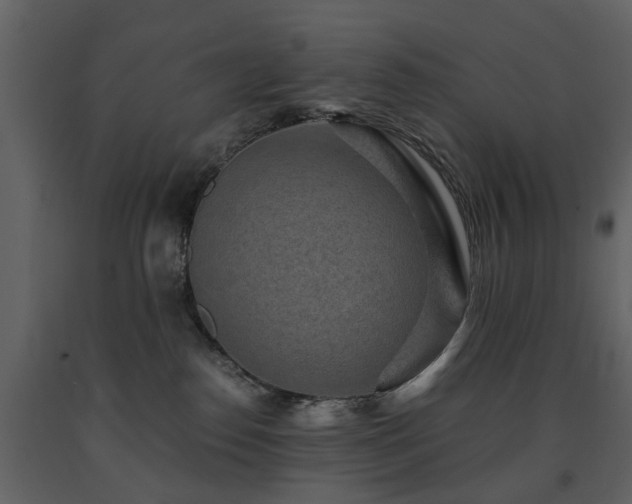 X0000091680186200708231425
