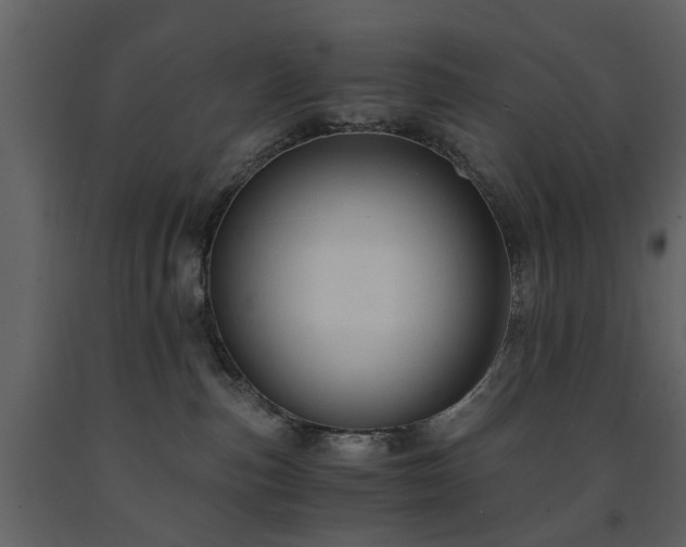 X0000091680187200708231425
