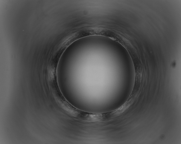X0000091680188200708231425