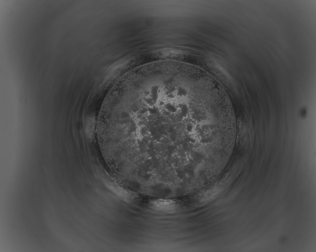 X0000091680189200708231425