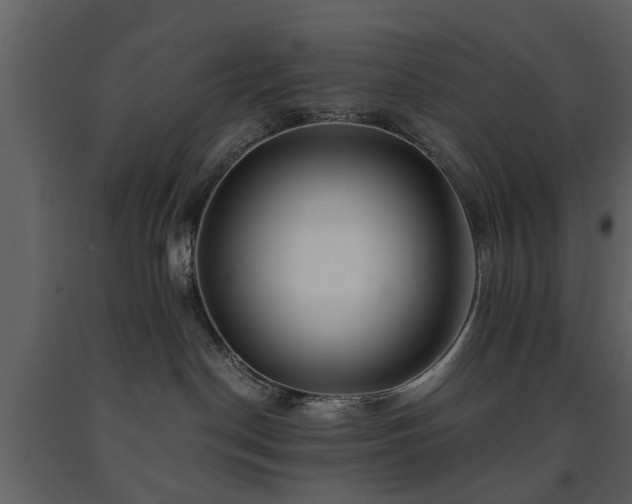 X0000091680190200708231425