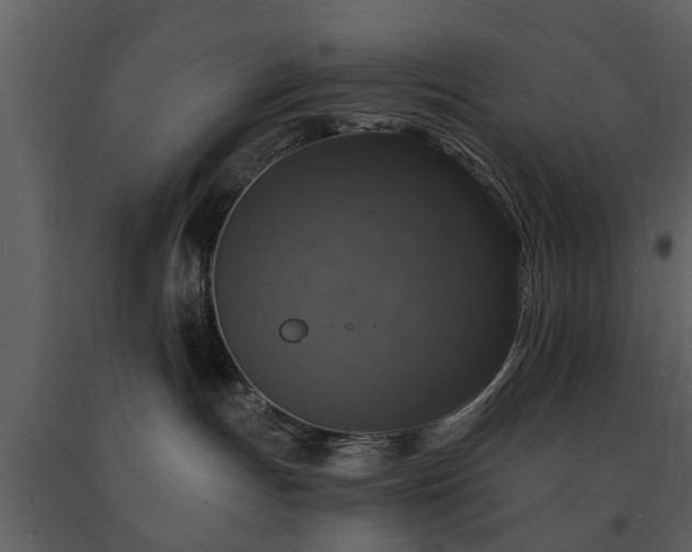 X0000091680191200708231425