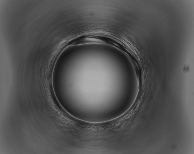 X0000091680193200708231425