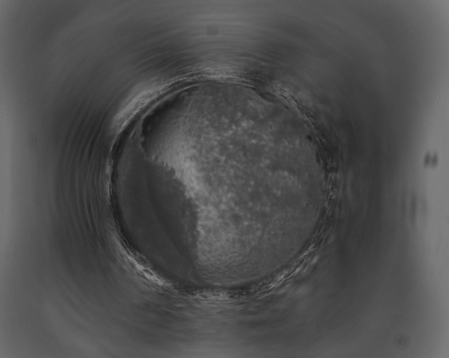 X0000091680194200708231425