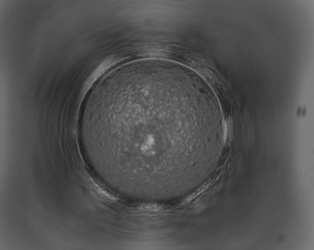 X0000091680195200708231425