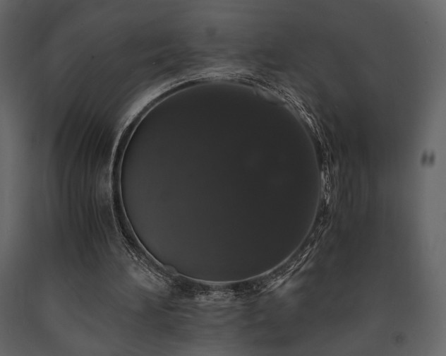X0000091680196200708231425