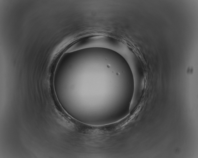 X0000091680197200708231425