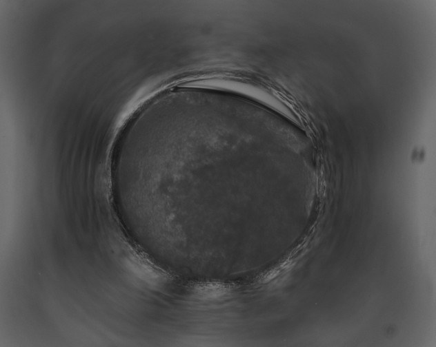 X0000091680198200708231425