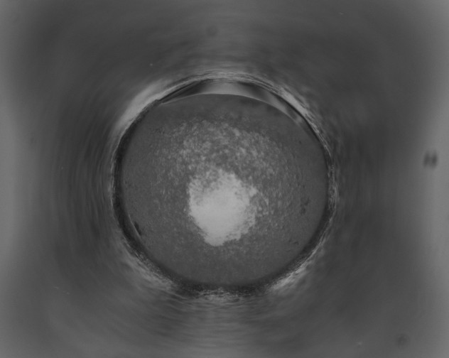 X0000091680199200708231425