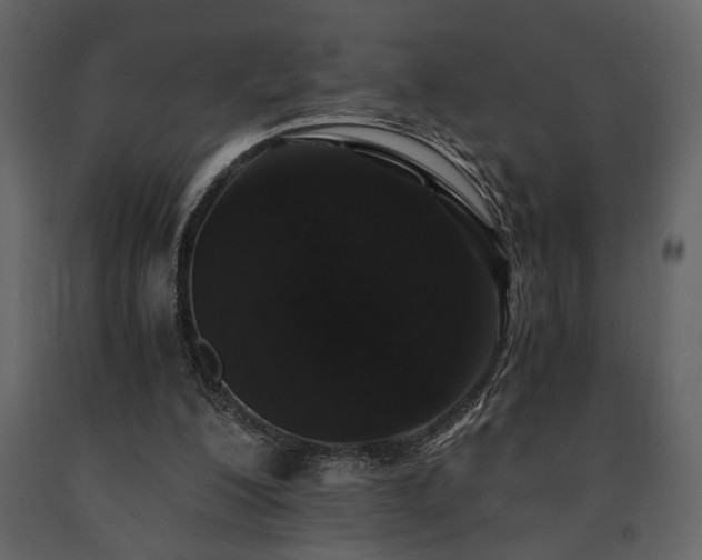 X0000091680200200708231425