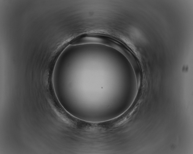 X0000091680201200708231425