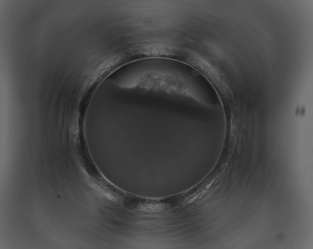 X0000091680202200708231425