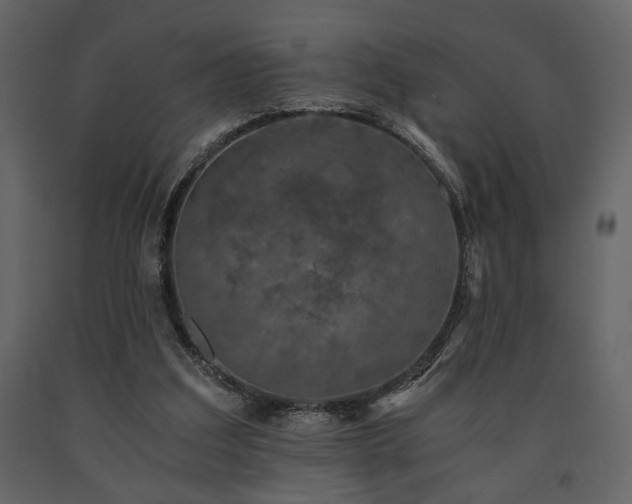 X0000091680203200708231424
