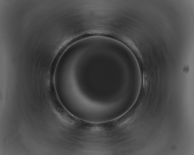 X0000091680204200708231424