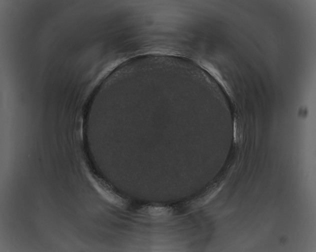 X0000091680205200708231424