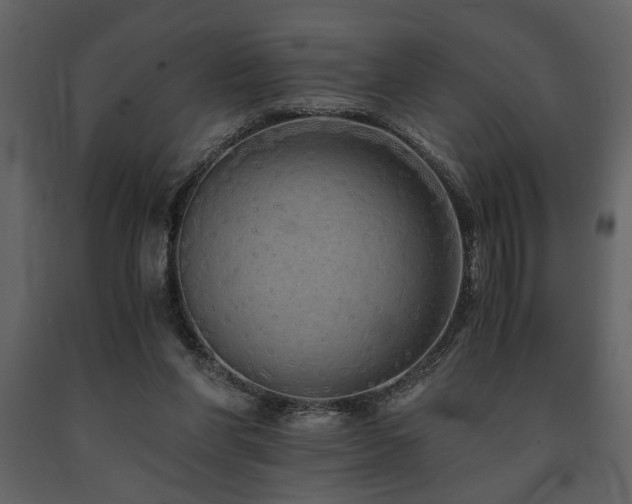 X0000091680206200708231424