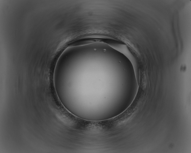 X0000091680207200708231424