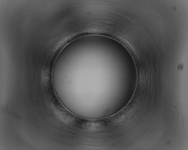 X0000091680208200708231424
