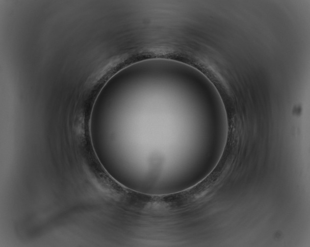 X0000091680212200708231424